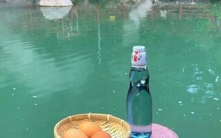  [모찌증정&입장료포함] 후쿠오카버스투어 다자이후 유후인 벳푸 - 매일출발 가성비 최고