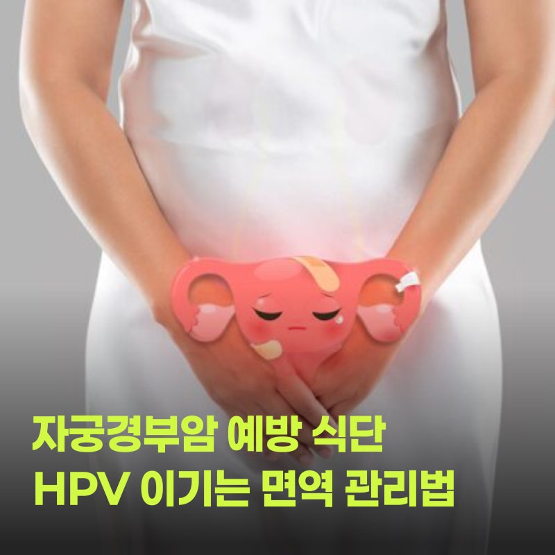 자궁경부암 예방 식단 HPV 이기는 면역 관리법