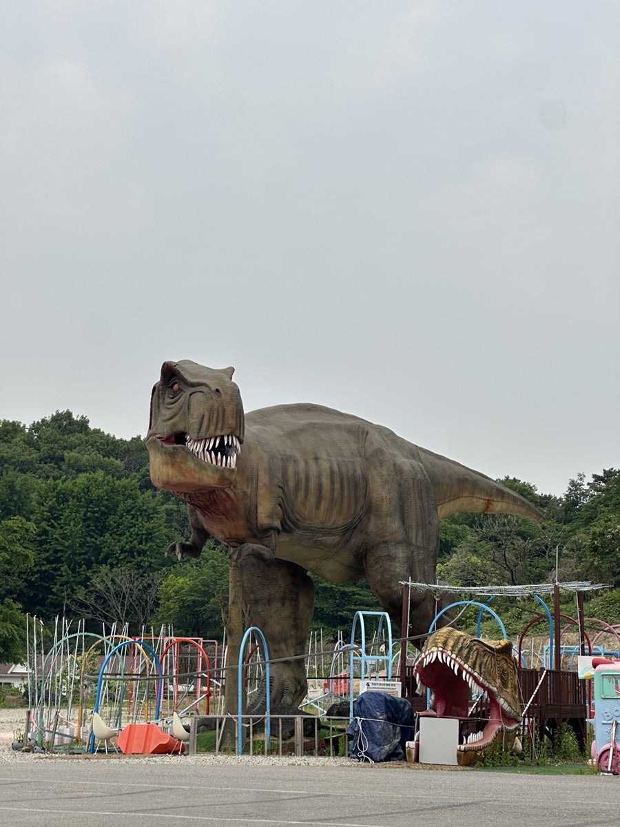 오키드 키즈카페 사진 3