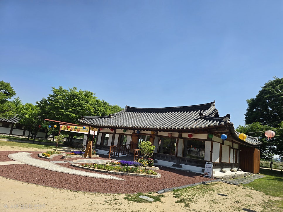 카페연화 사진 6