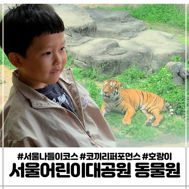 서울어린이대공원 동물원 vs 과천 서울대공원 비교 한군데만 가야한다면