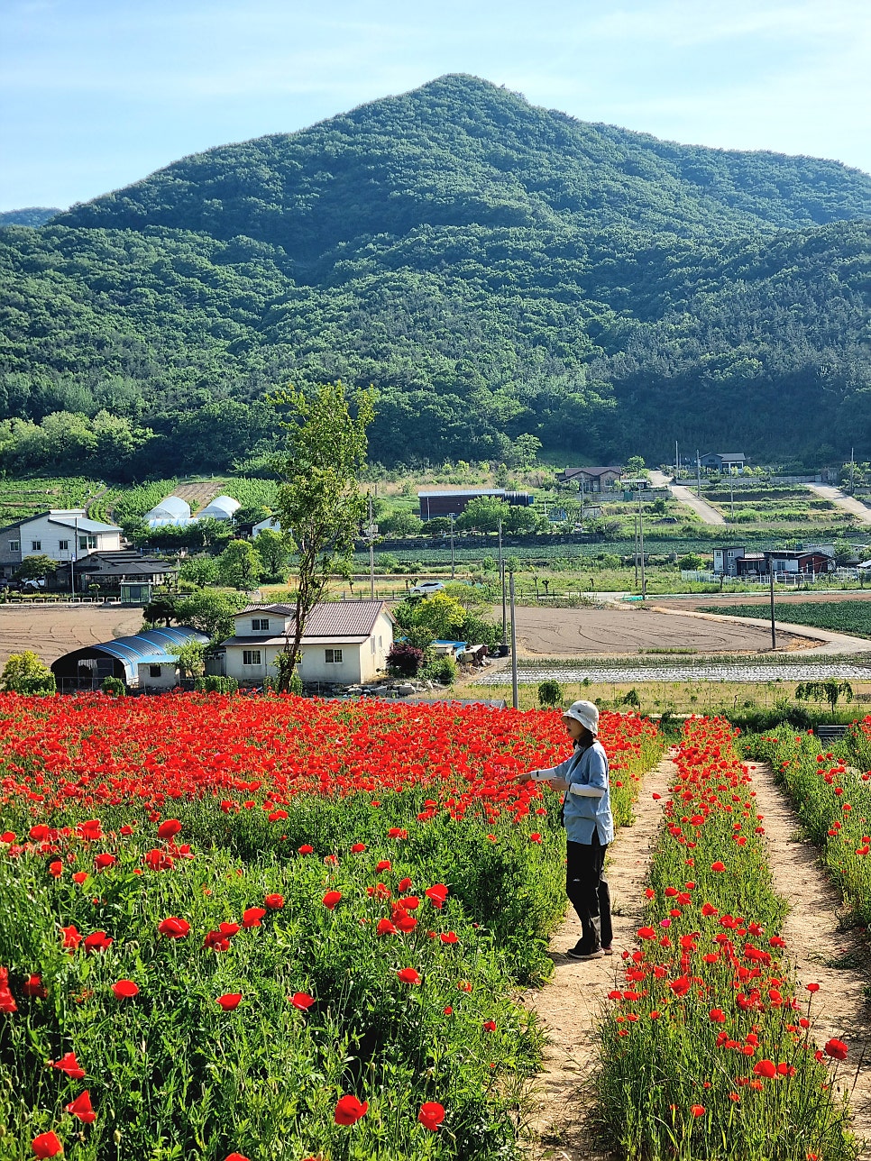 김장군막국수 부안점 사진 4