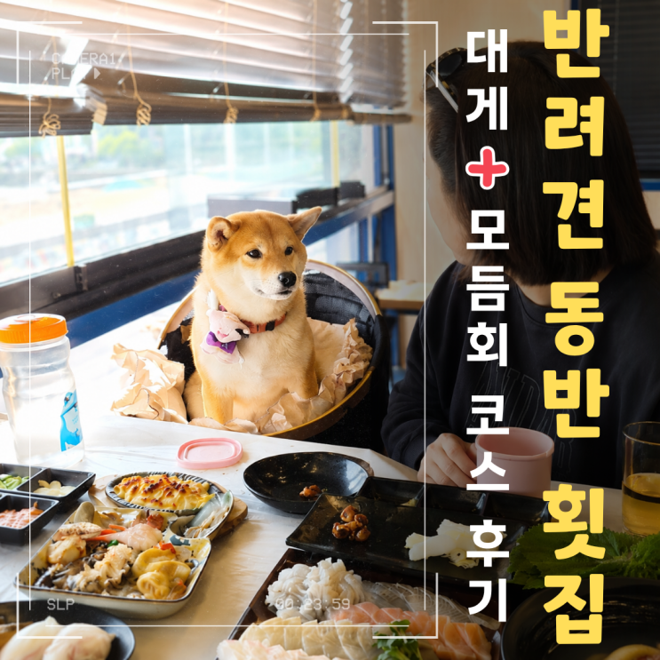  월곶수산마켓 솔직 후기: 반려견 동반 대게 코스, 직접 먹어봤다