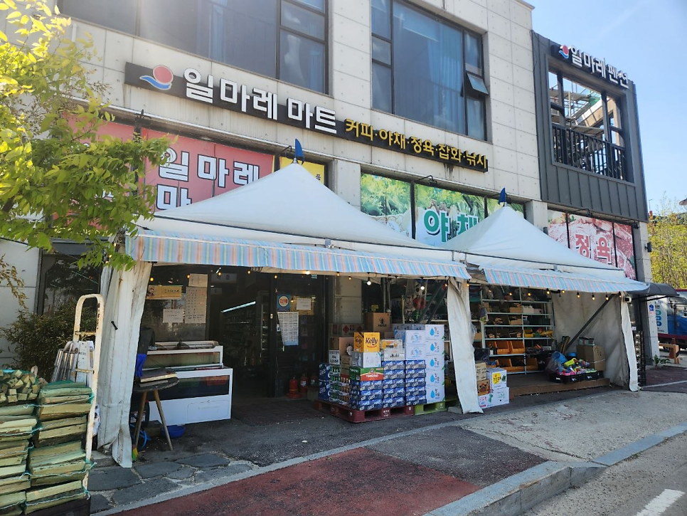 일마레 사진 4