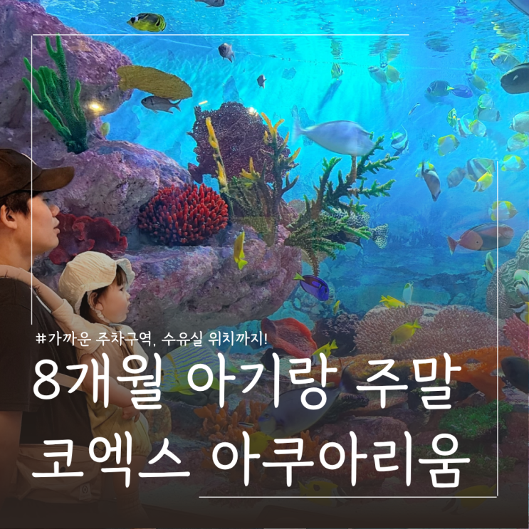  8개월 아기랑 코엑스 아쿠아리움 아기띠 앞보기 관람 후기 (수유실 위치, 주차 꿀팁)