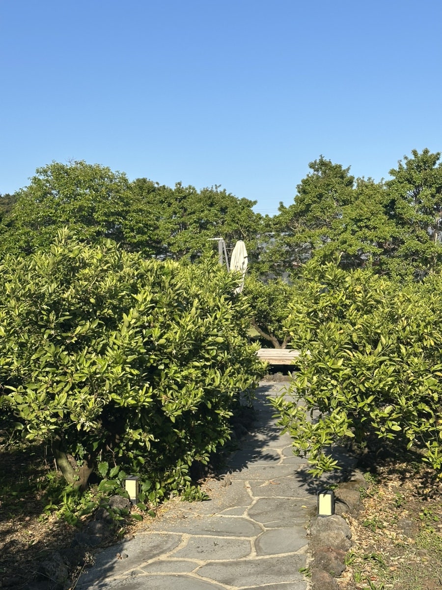 소이연가 사진 3