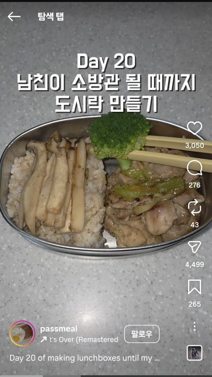 도시락 싸주는 여친 욕하는 그분들.jpg