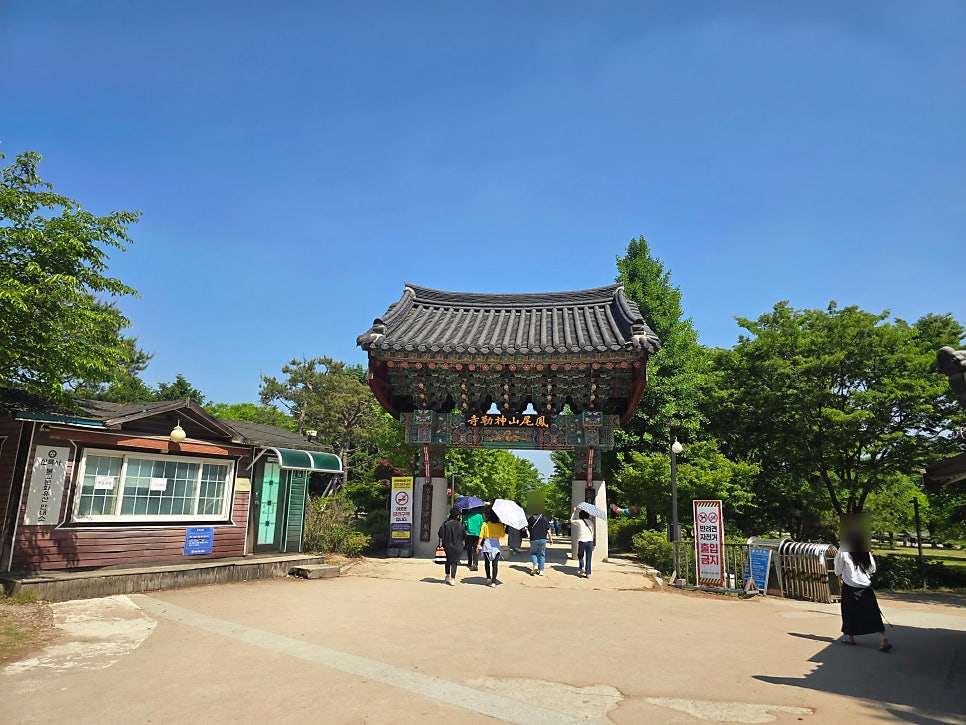 카페연화 사진 4