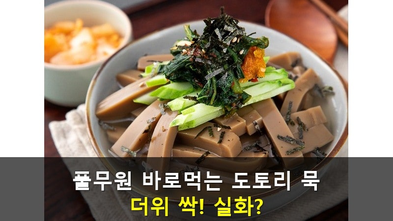 풀무원 바로먹는 도토리 묵채냉국 2인, 더위 싹! 4990원 실화?