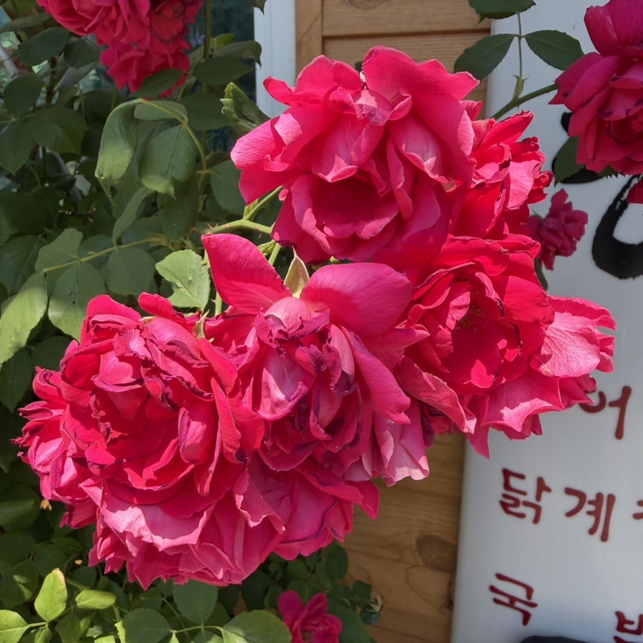 옥계추어탕 사진 4