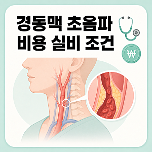 경동맥 초음파 검사 비용 실비보험 적용되는 조건