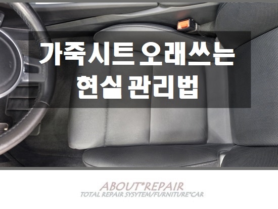 가죽시트 오래 쓰는 방법 7가지, 자동차 시트 갈라짐/이염 줄이는 현실 관리법