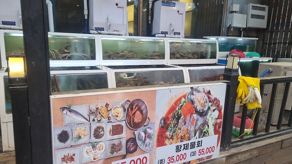 독도게찜 사진 3