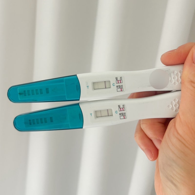 임테기 임신테스트기 사용시기 사용법 두줄 오류 시약선 역전