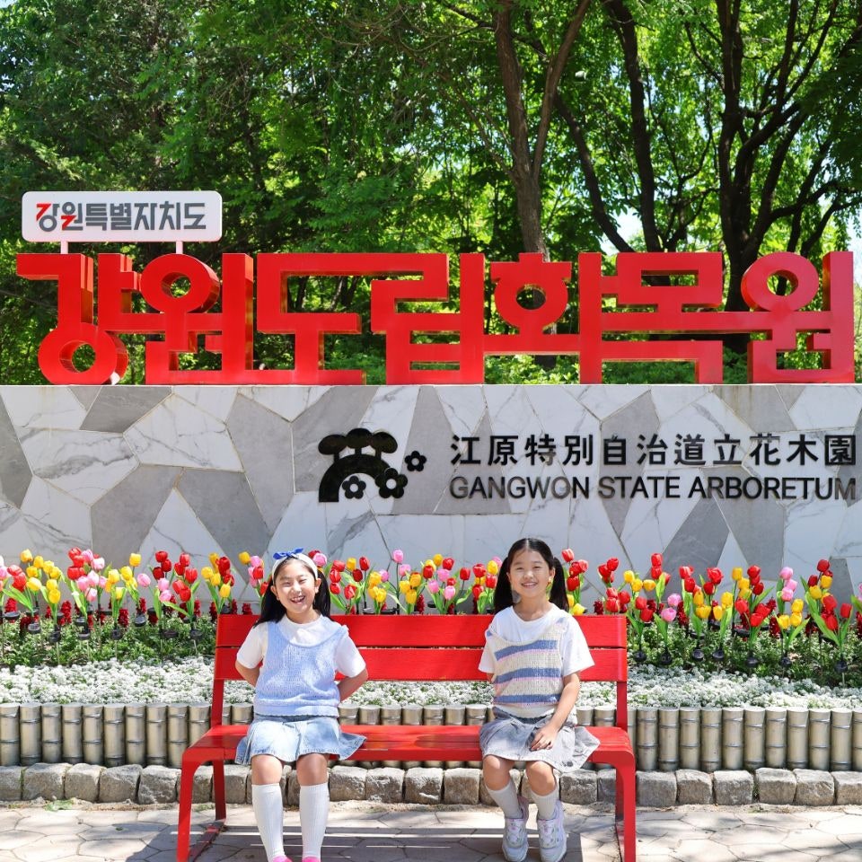 춘천여우그늘 사진 1