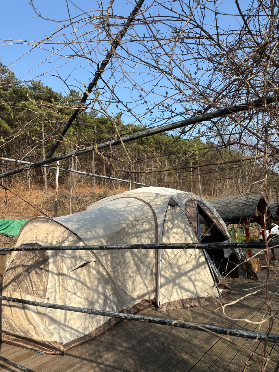 봉바위농원캠핑장 사진 3