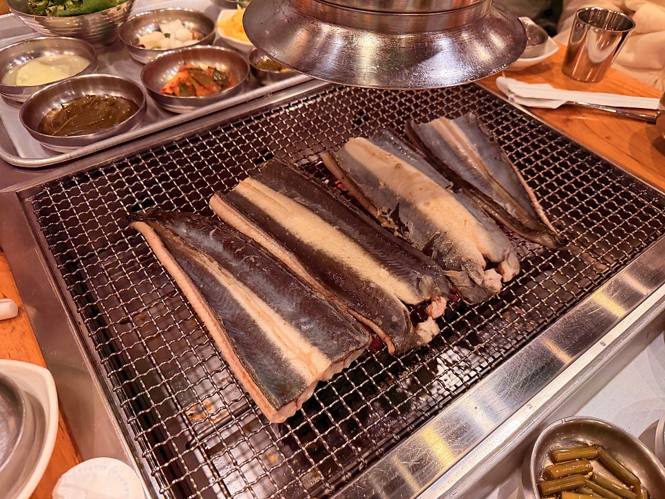 진성장어 사진 3