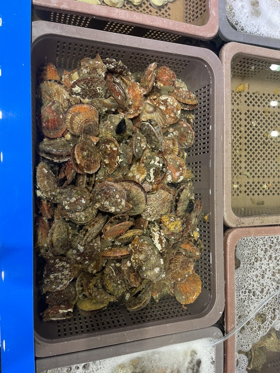 해물창고 본점 사진 3