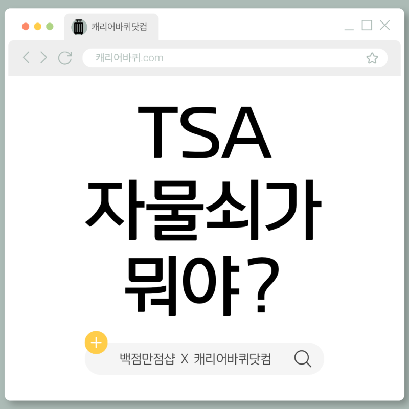 미국-유럽 여행 TSA 자물쇠 | 백점만점샵