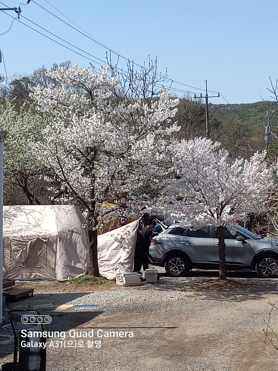 봉바위농원캠핑장 사진 5