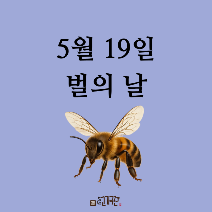  5월 20일 세계 벌의 날, 꿀벌에 대해 얼마나 알고 있나요?