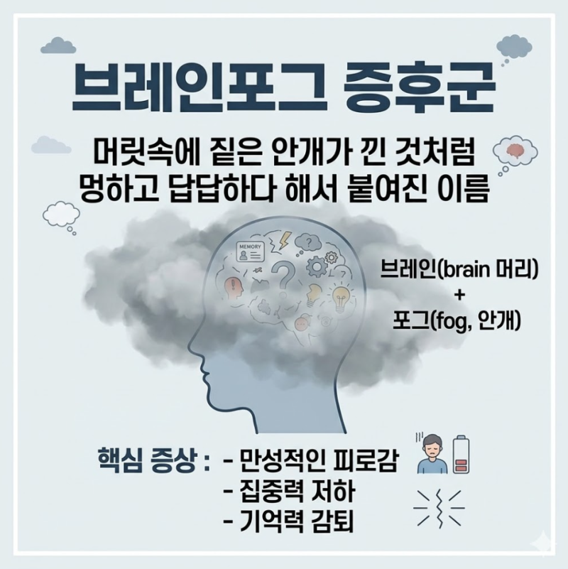 브레인포그한의원 머리가 맑지 않음 브레인포그 증상 치료