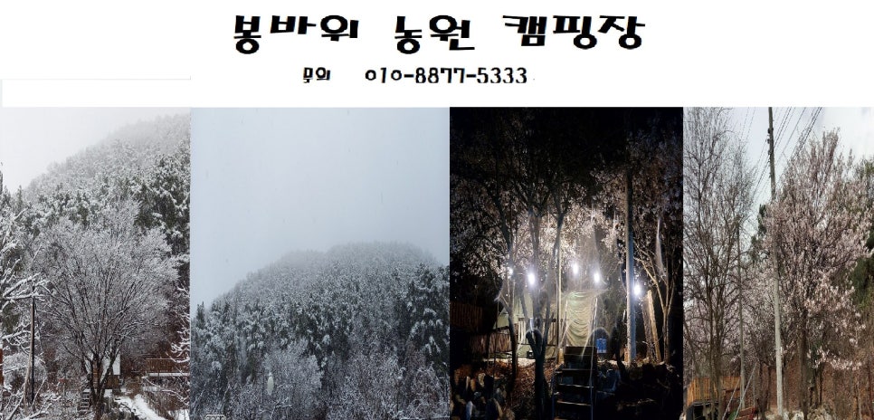 봉바위농원캠핑장 사진 2