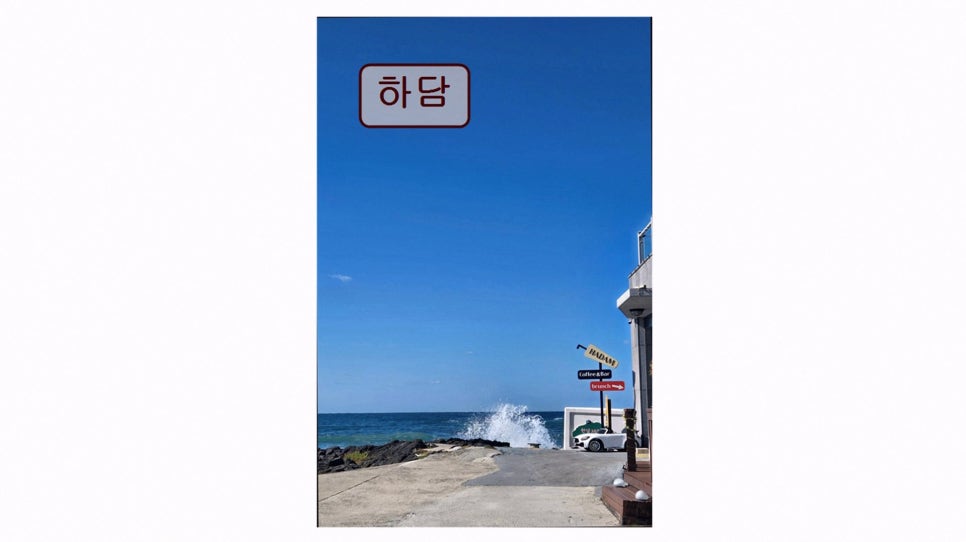 하담 사진 2