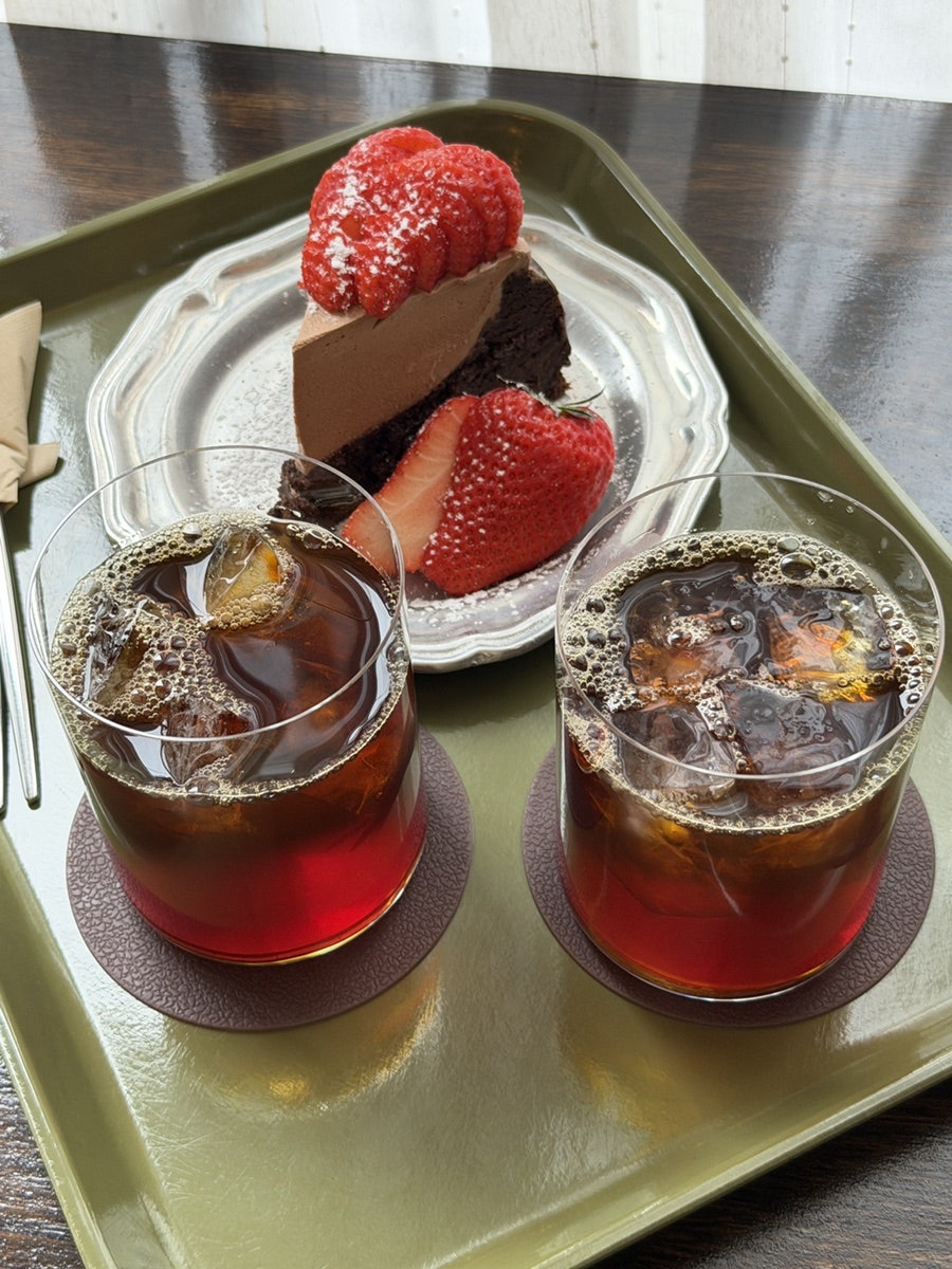 스테딜리 사진 5