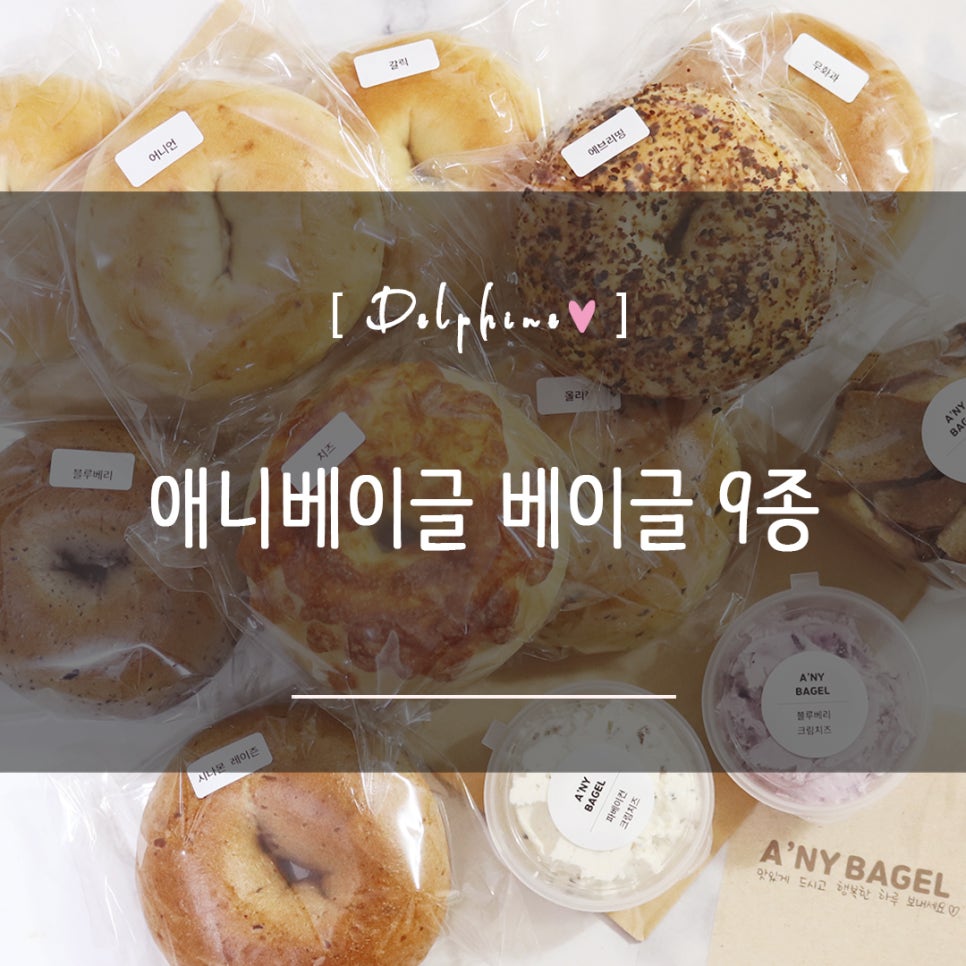 애니베이글 사진 1