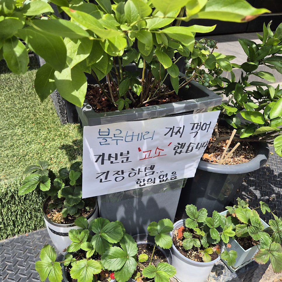 우리동네왕족발 사진 3