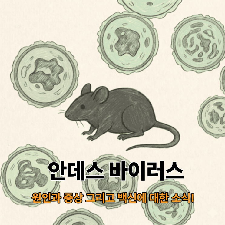  안데스 바이러스 원인과 증상 및 한타바이러스 백신