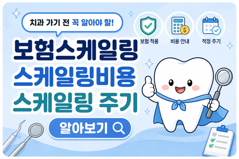 보험 스케일링 일년에 한번 공짜아닌가요?