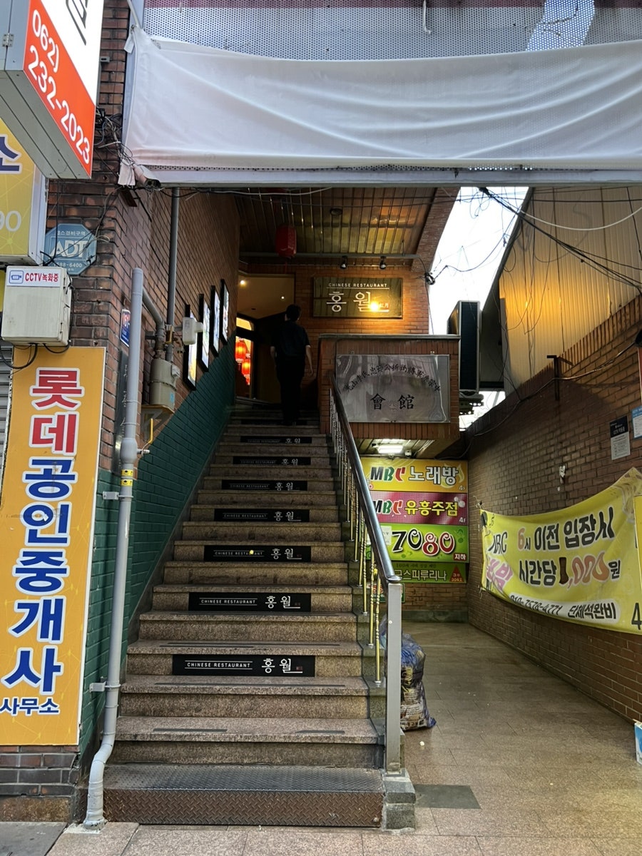 홍월 사진 2