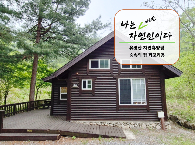 유명산 자연휴양림 숲속의 집 꾀꼬리동 숙소에서의 하루