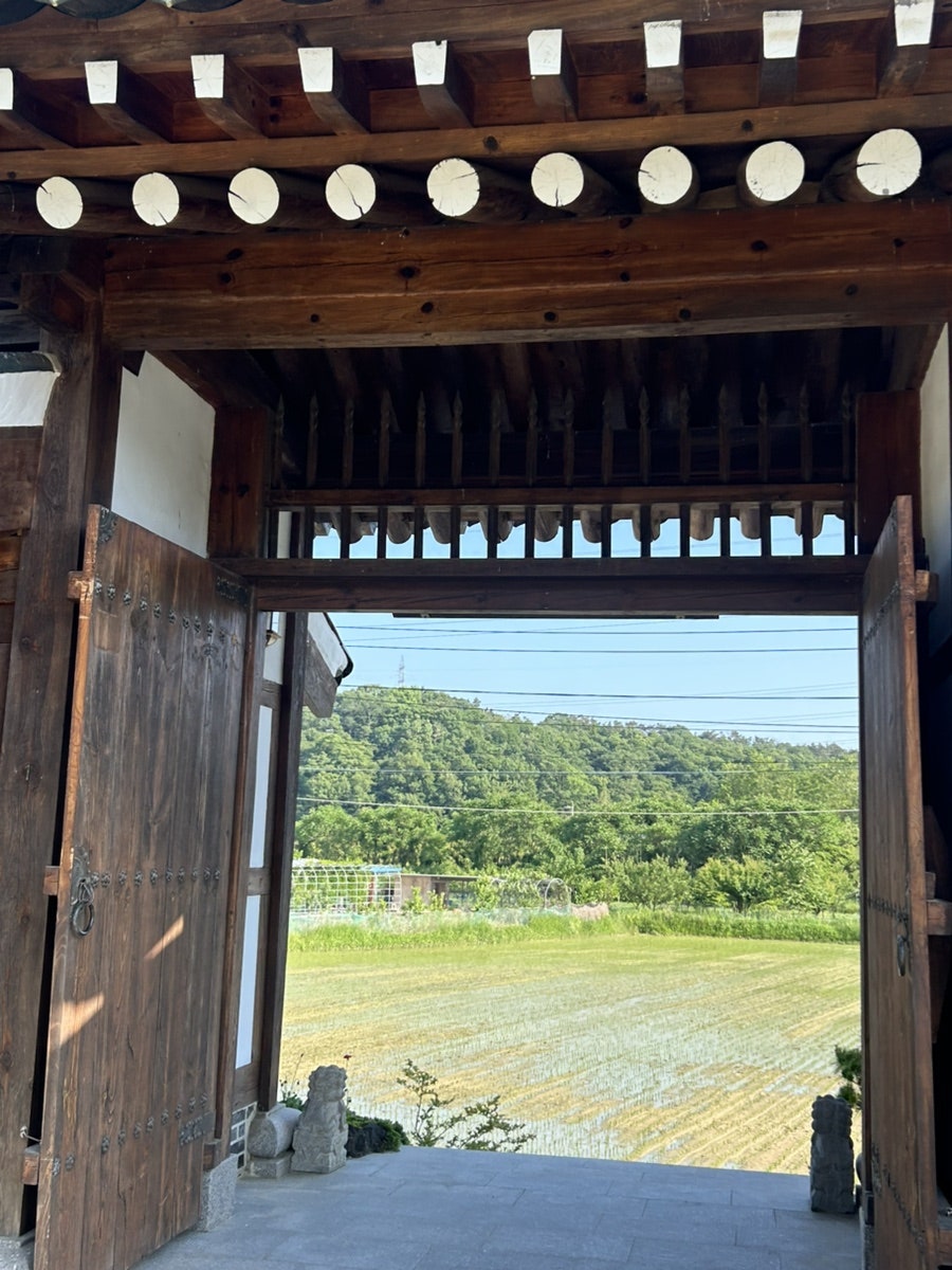 청량248 사진 5