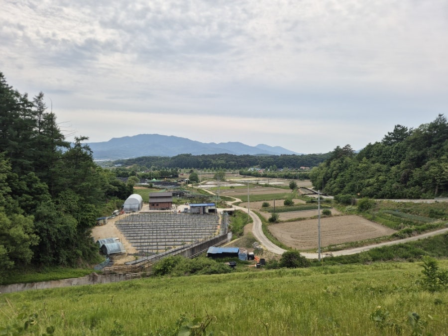 햇골산 사진 4