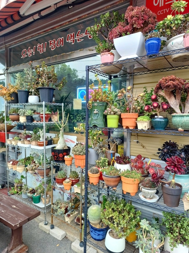 먹쇠민물장어 사진 4