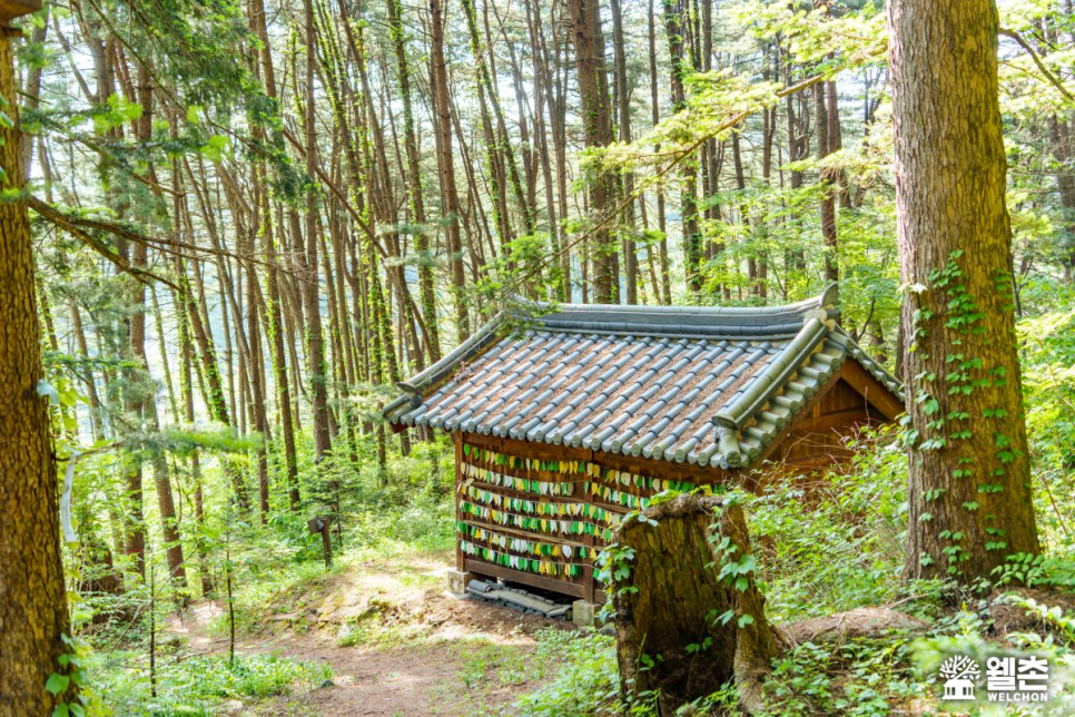 딱따구리펜션 사진 1