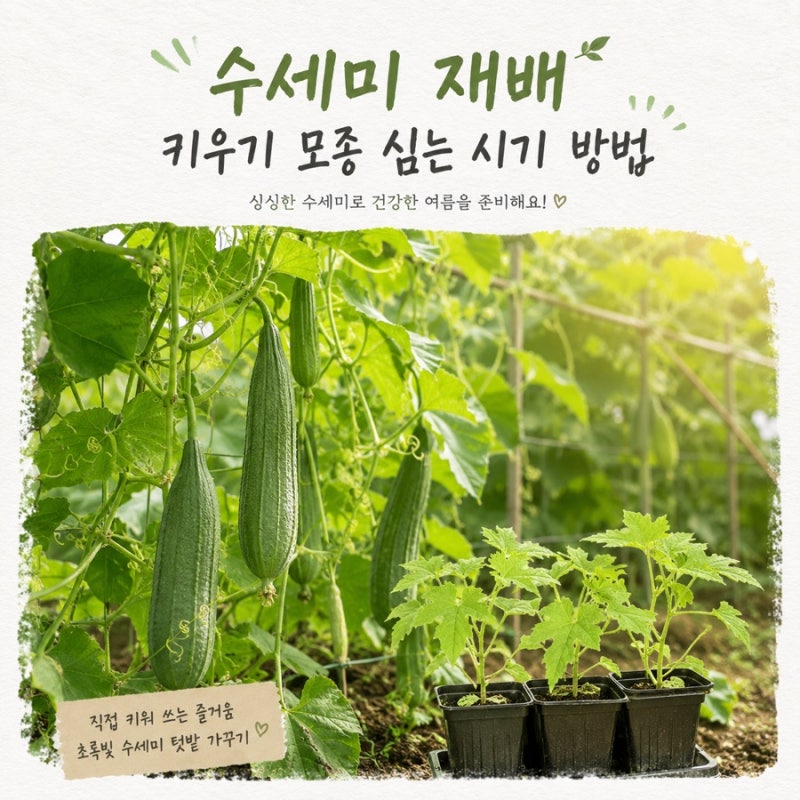 수세미 키우기 모종 심는 시기 지지대 방법 수확 풍성하게