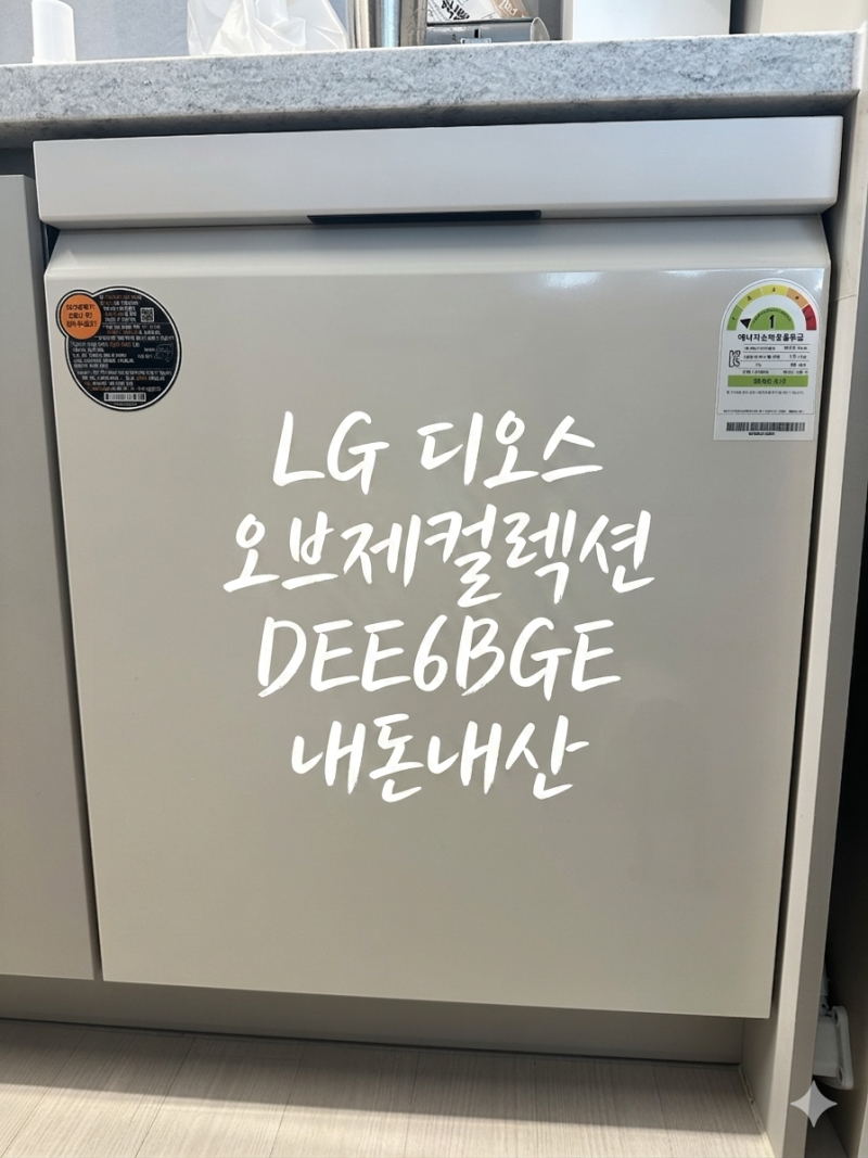 LG 식기세척기 14인용 DEE6BGE 솔직 후기 (빌트인 사용기)