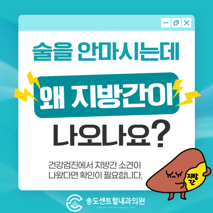  술 안 마셔도 지방간?  그냥 넘기면 안되는 이유 송도내과