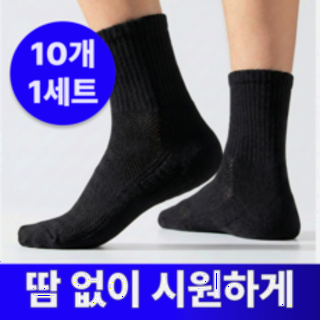  어텀트로브 쿨 메쉬 스포츠 중목 여름 양말 - 시원한 통풍 데일리 10켤레