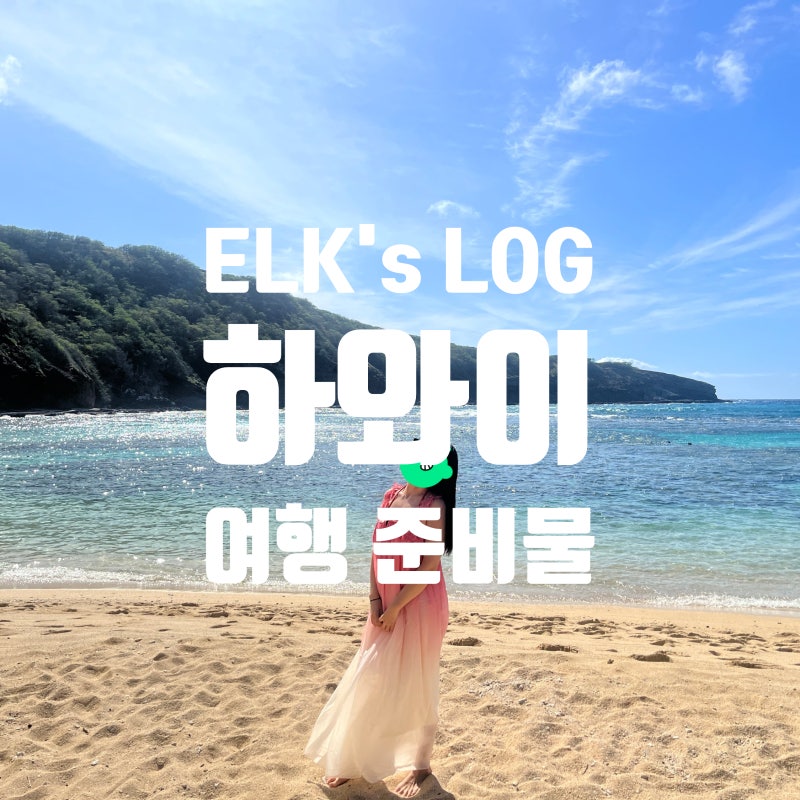 여름 하와이 신혼여행 준비물 체크리스트, 비자부터 세금 환급까지 이것만 보면 끝!