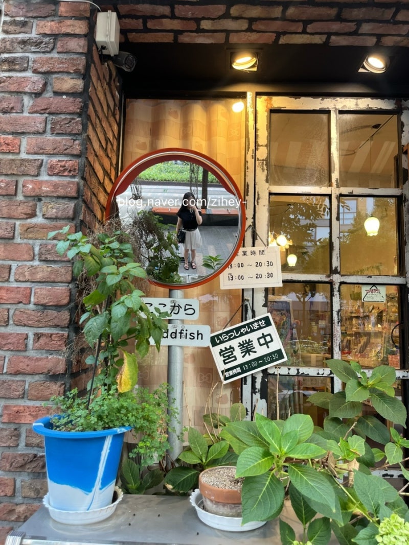 대구 직접 다녀온 동성로, 중앙로 소품샵 3곳 추천 [오드피쉬], [홀리데이비지터샵], [물비늘]