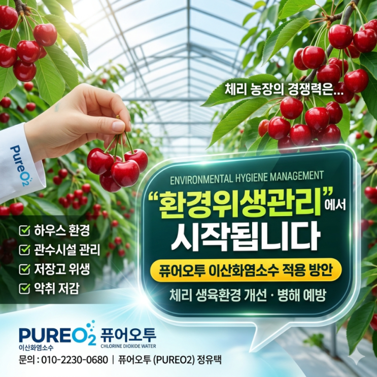  체리 농장의 경쟁력은 “환경위생관리”에서 시작됩니다! 체리 생육환경 개선과 병해 예방을 위한 퓨어오투 이산화염소수 적용