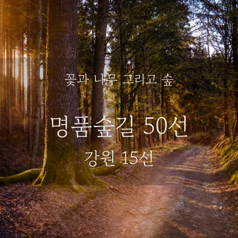 김삿갓 사진 1