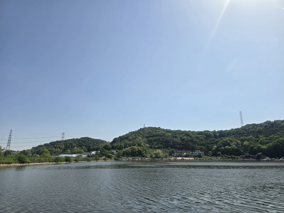 과림매운탕 사진 5