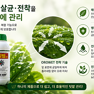 텃밭농사 병해충 방제에 농약대신 프리밤골드 사용해보세요!