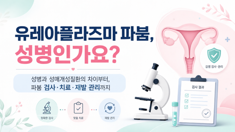 유레아플라즈마 파붐, 성병인가요? 성병과 성매개성질환의 차이부터, 파붐 검사·치료·재발 ....